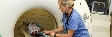 24 hour vet|Emergency Vet Care .